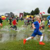 Imprezy biegowe - 