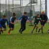 Imprezy biegowe - 