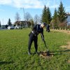 Obchody 100-lecia odzyskania niepodległości przez Polskę