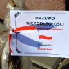 Obchody 100-lecia odzyskania niepodległości przez Polskę