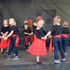 Piknik Rodzinny w Krościenku Wyżnym