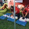 Dożynki Gminne 2019